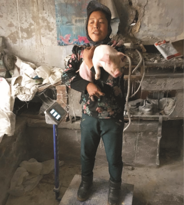 人生就是博教槽料（Z100）的实证案例