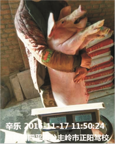 人生就是博保育料（Z101）的实证案例